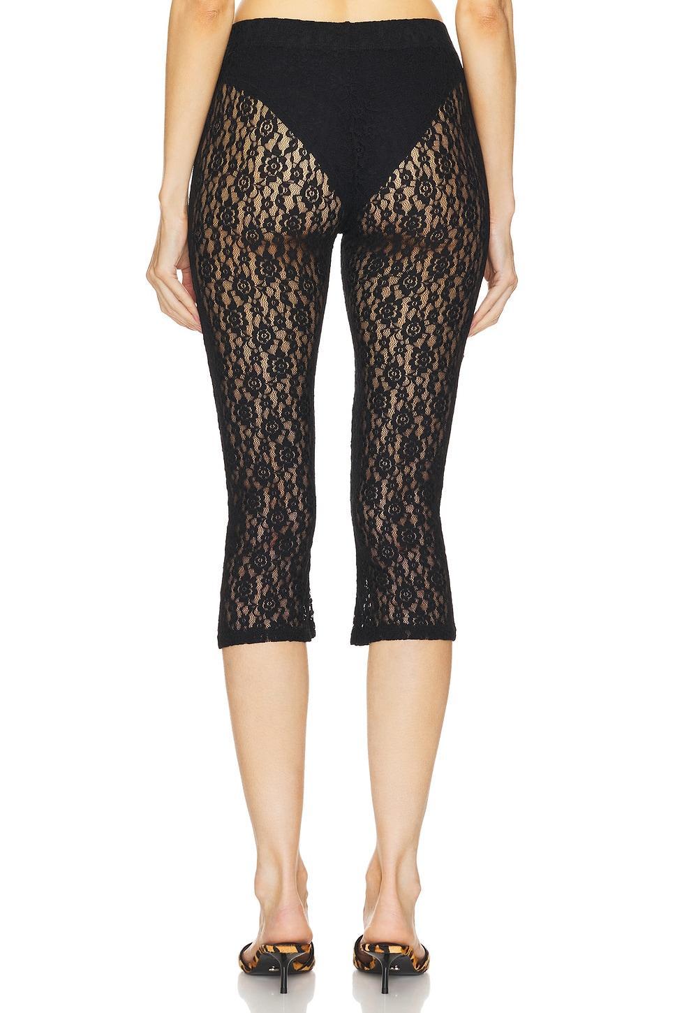 Lace Capri Product Image