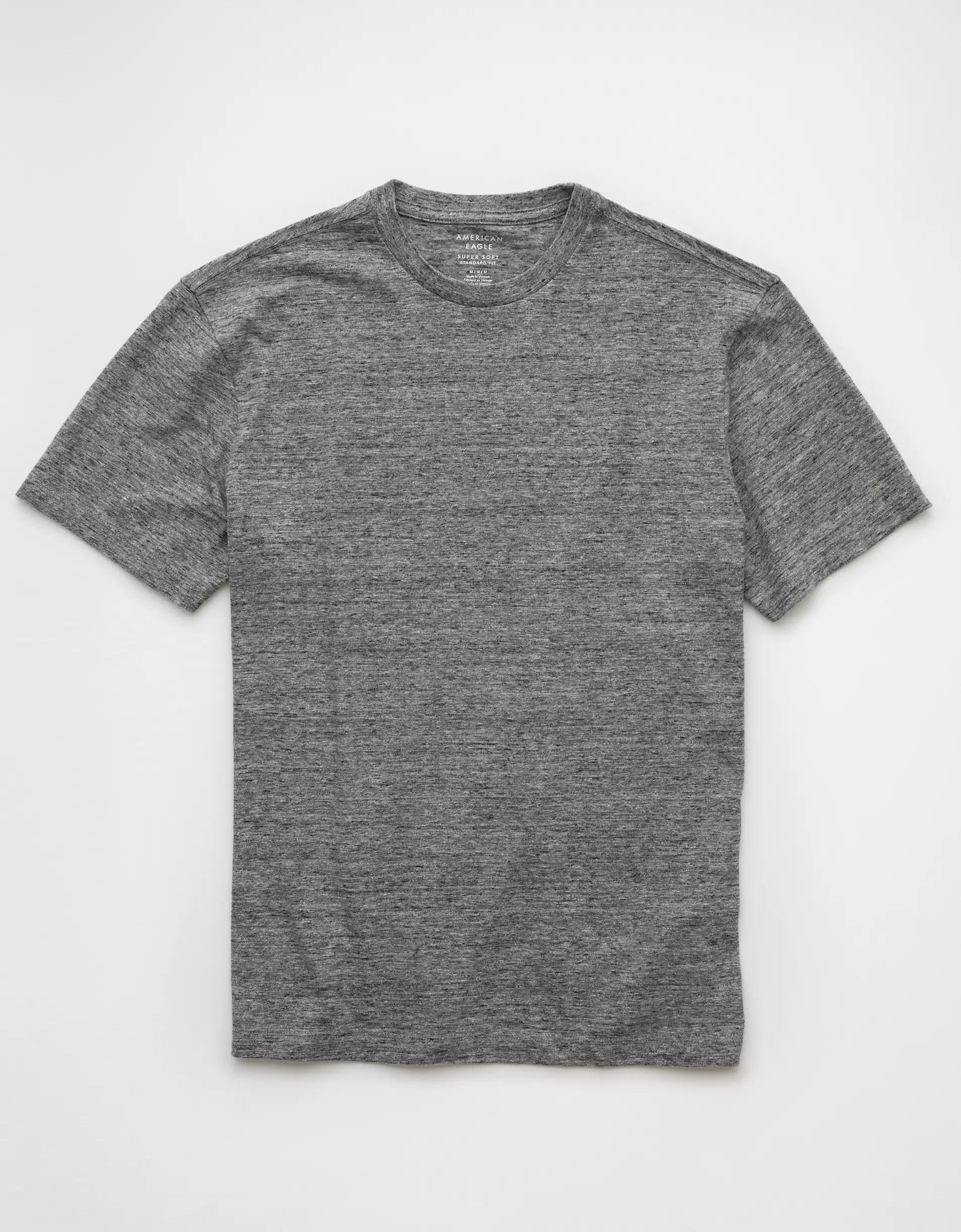 AE Logo Lived-In T-Shirt Product Image