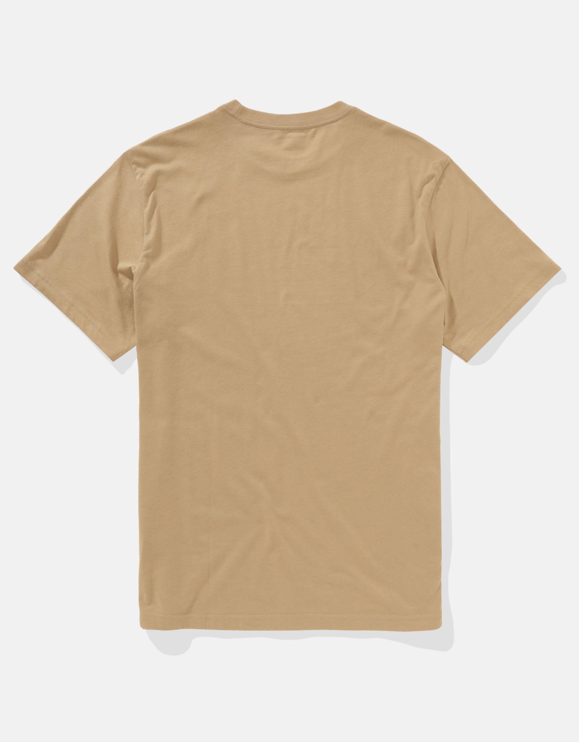 AE Icon Logo Graphic T-Shirt Product Image