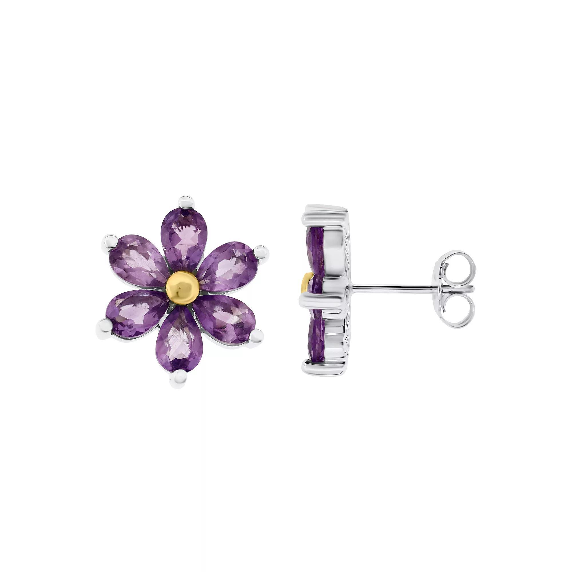 Two Tone Sterling Silver Amethyst Earrings, Women's Product Image