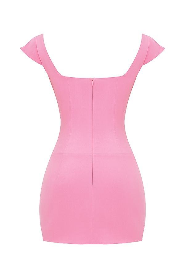 Leonida French Pink Corset Mini Dress Product Image