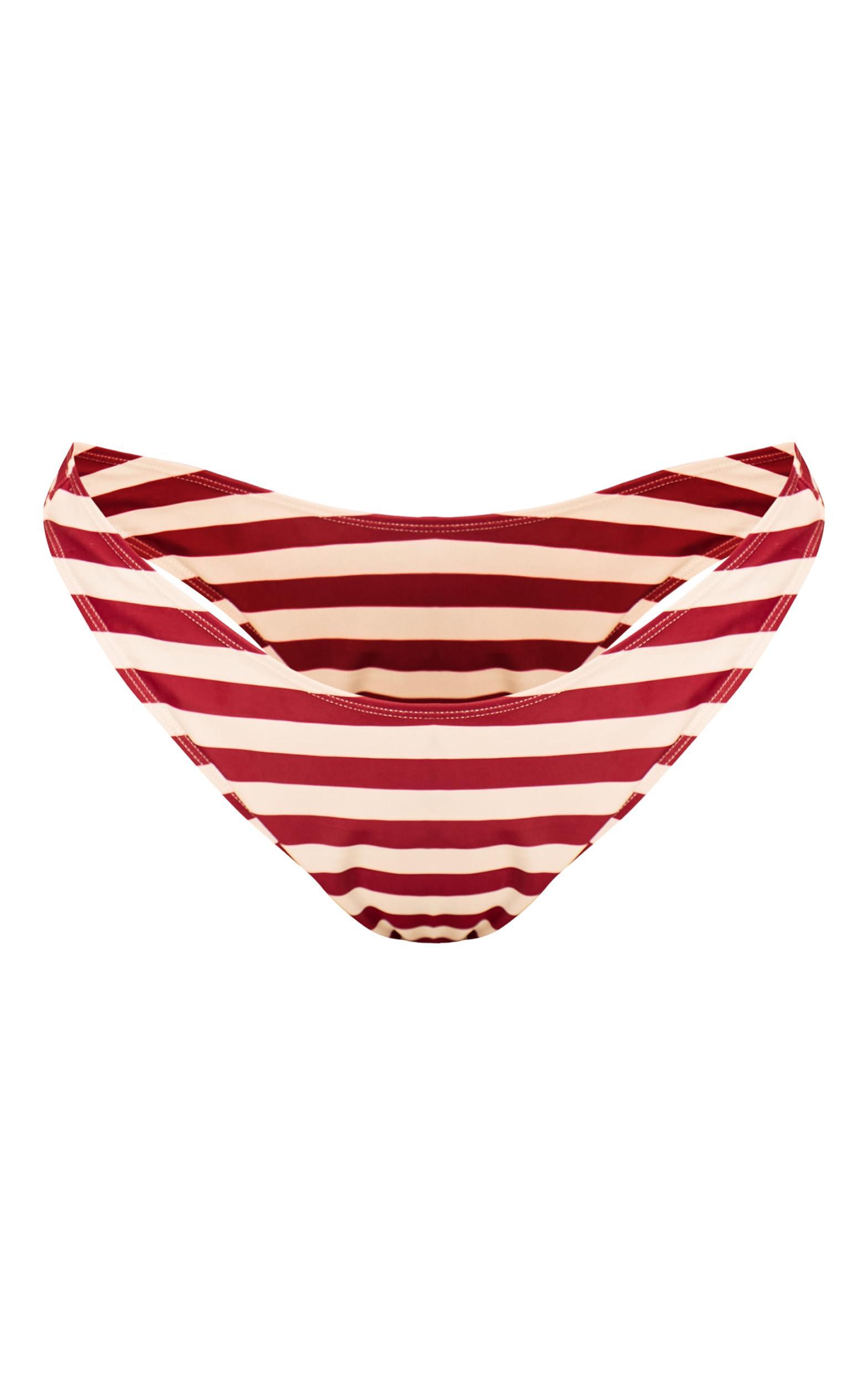 Plus Burgundy Stripe Tanga Bikini Bottoms Product Image