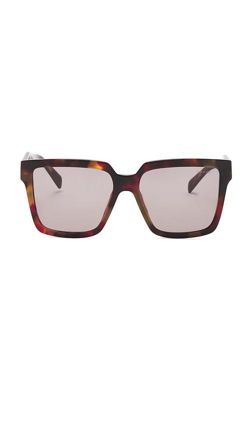 PRADA Square Sunglasses In Brown Product Image