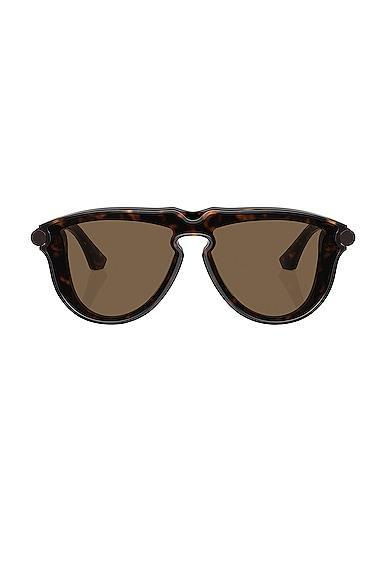 Aviator Sunglasses Product Image