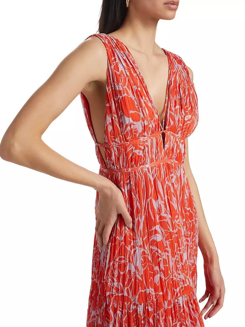 Pescadero Floral Maxi Dress Product Image