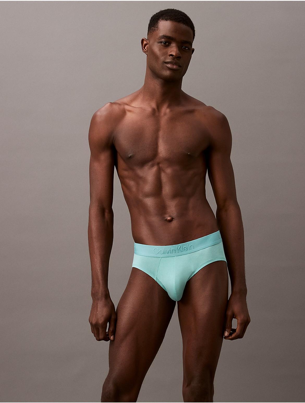 Calvin Klein Men's Ultra Soft Modal Hip Brief - Black - L Product Image