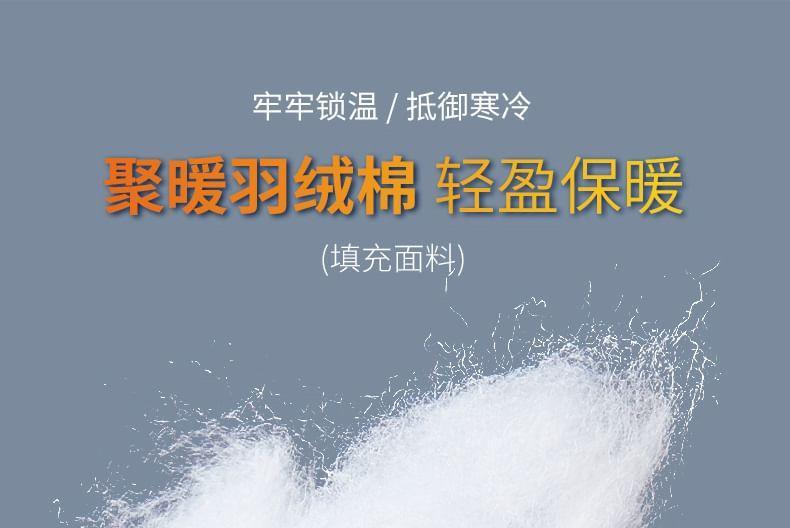 Plain Hooded Zip Puffer Coat Product Image