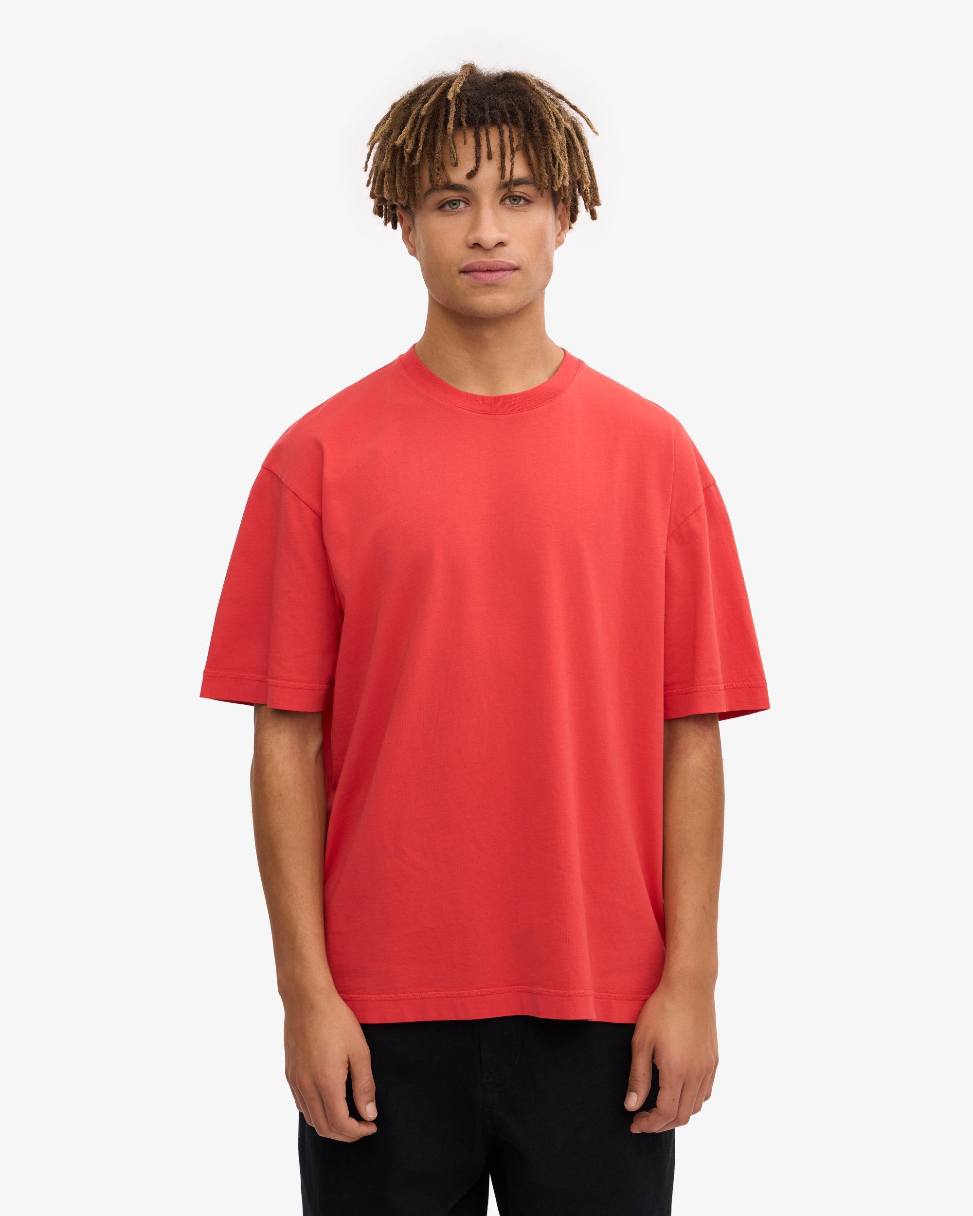 Theory Bron Cotton Polo in Baby Blue Product Image