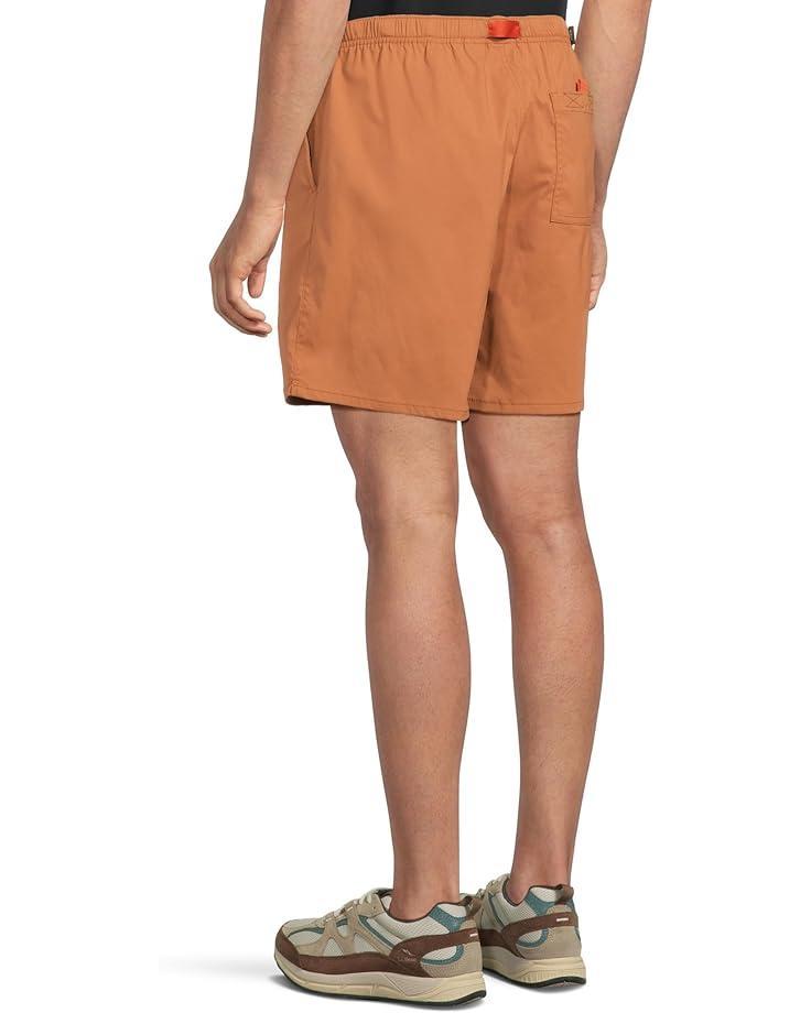 Stretch Zion Shorts Product Image