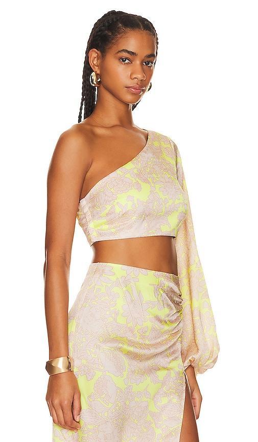 Harmony Crop Top RUMER Product Image