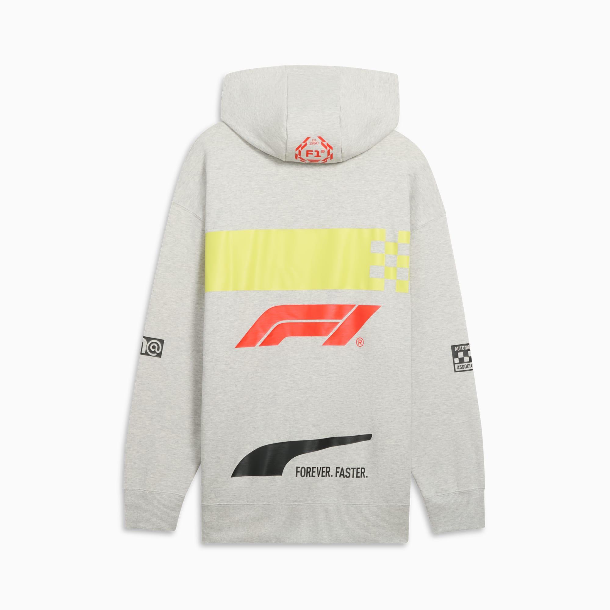 Formula 1® Racing Motorsport Men's Hoodie Product Image