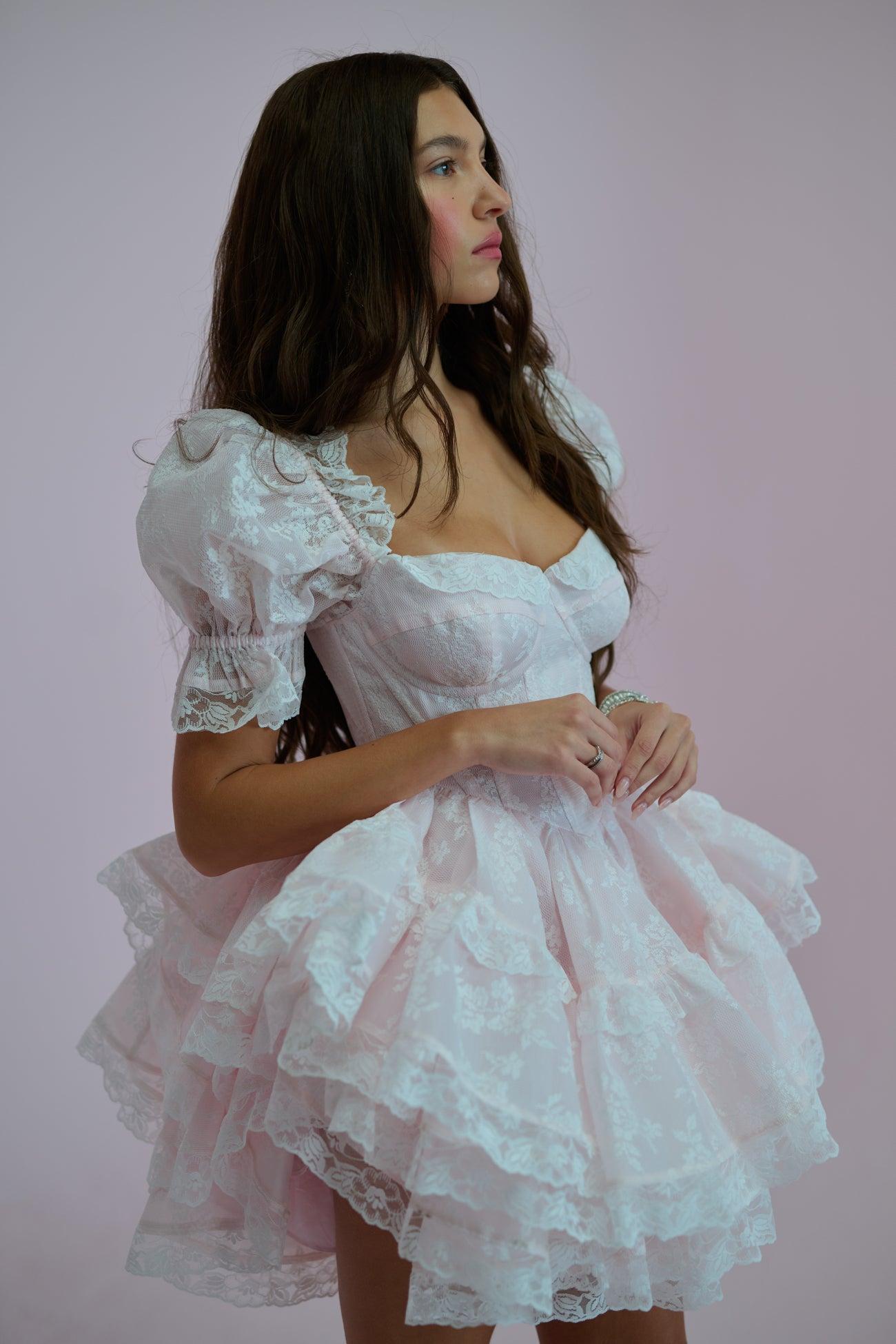 The Pink Lace Cecile Dress Product Image