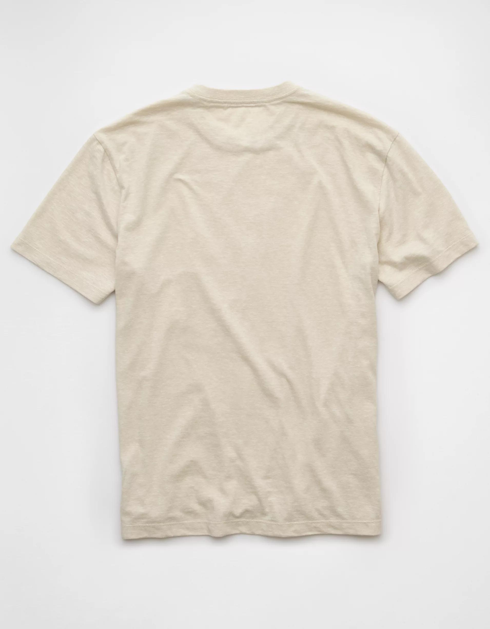 AE Logo Lived-In T-Shirt Men's Product Image