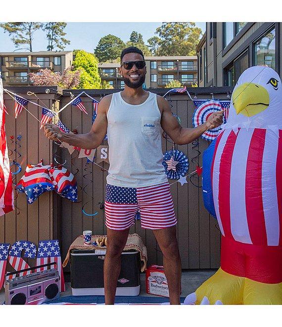Chubbies The Mericas 5.5#double; Inseam Shorts Product Image