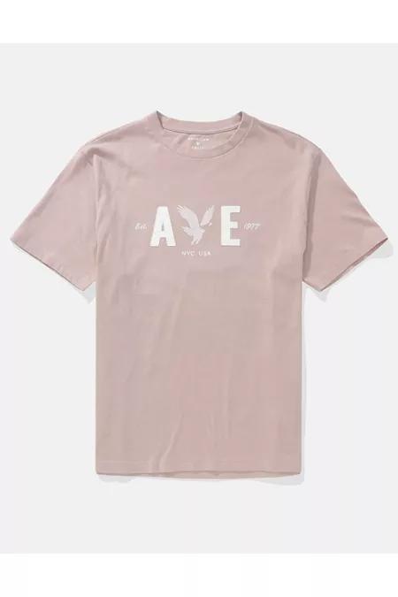 AE Logo Graphic T-Shirt Men's Product Image
