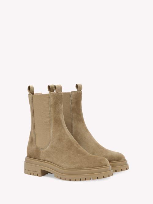 GIANVITO ROSSI Chester Suede Chelsea Boots In Beige Product Image