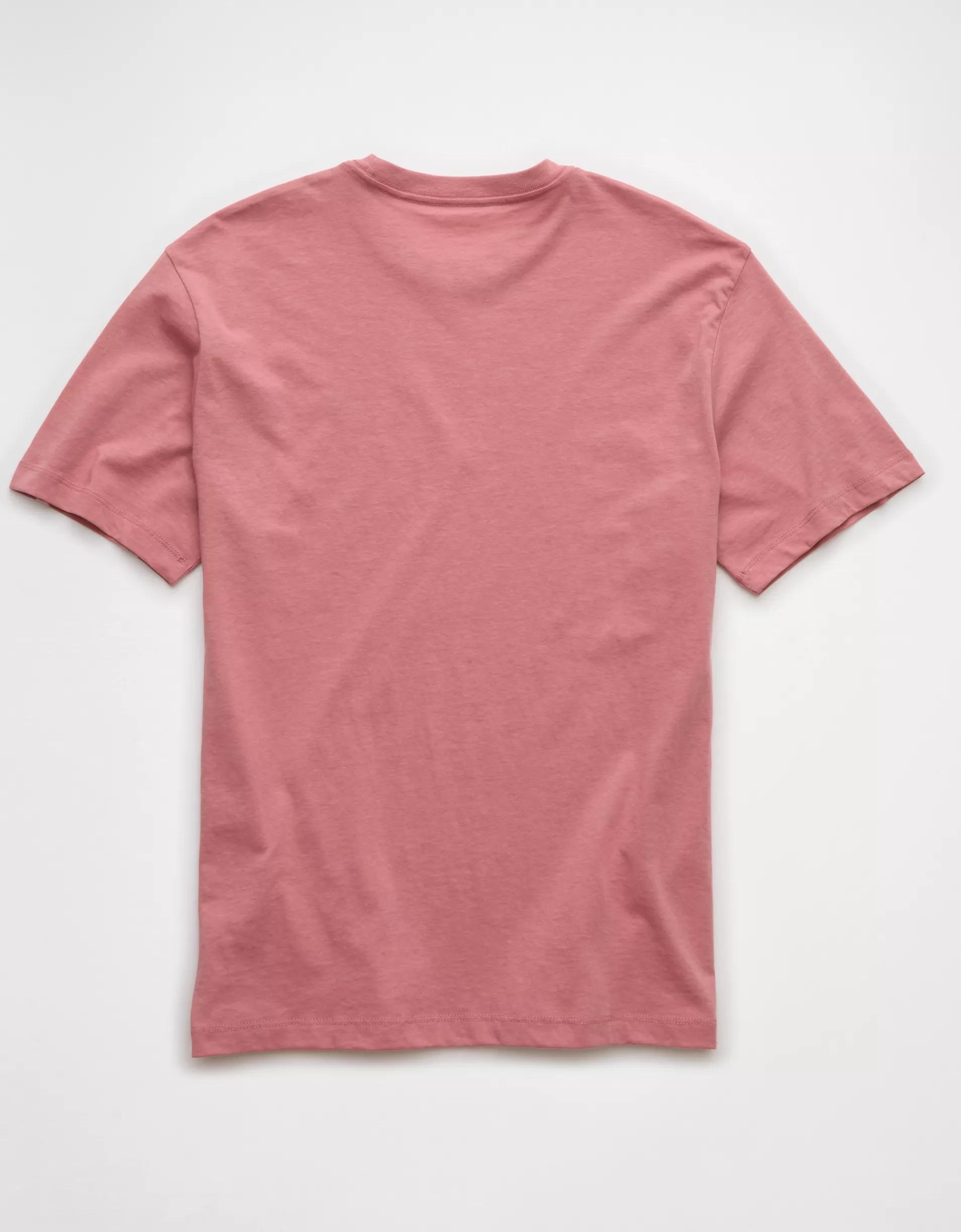 AE Icon T-Shirt Product Image