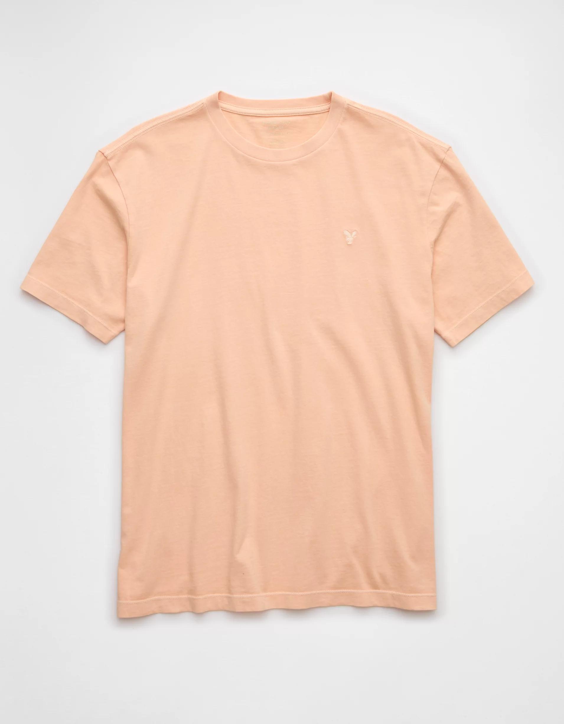 AE Logo Lived-In T-Shirt Product Image