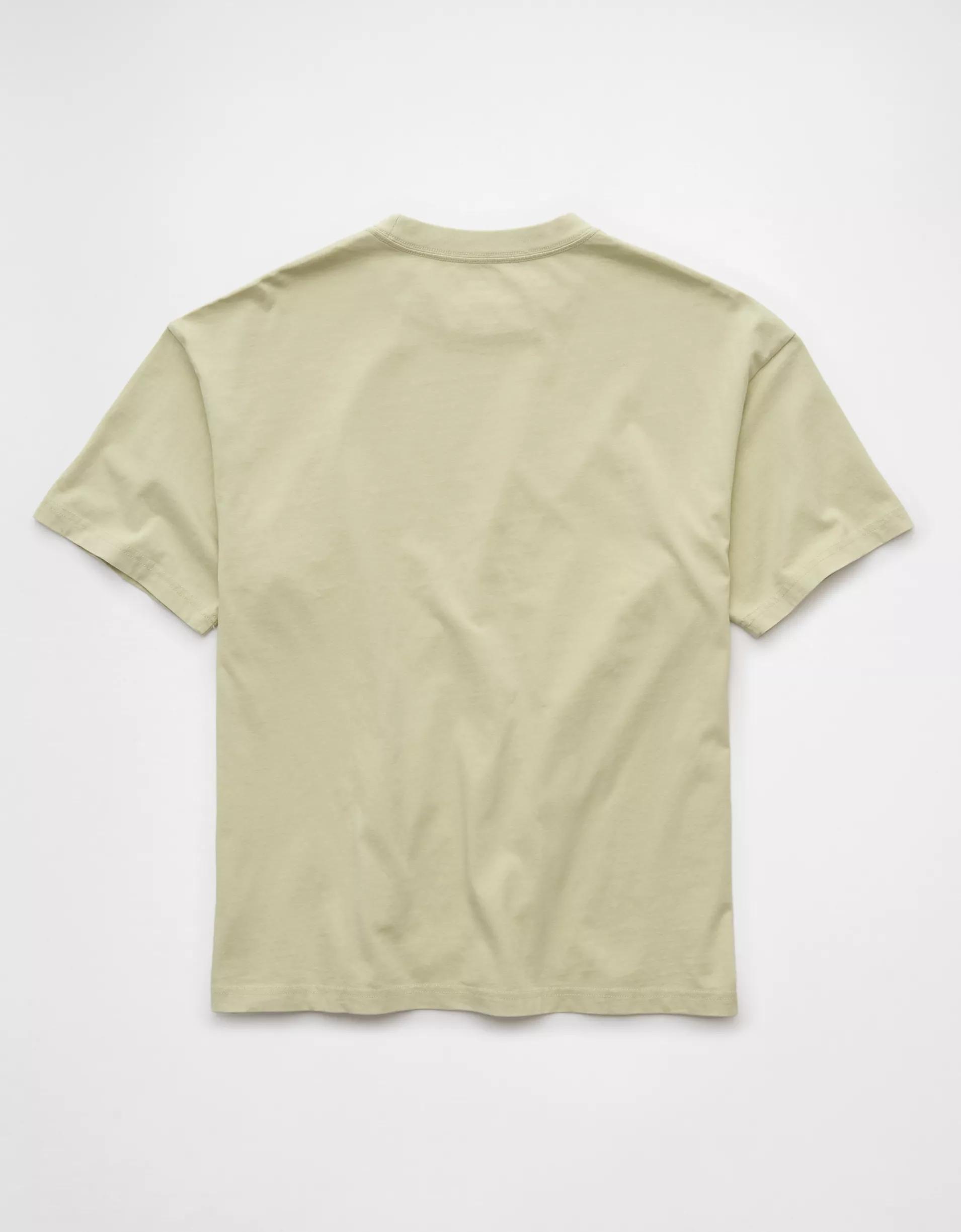 AE Boxy Destination Graphic T-Shirt Product Image