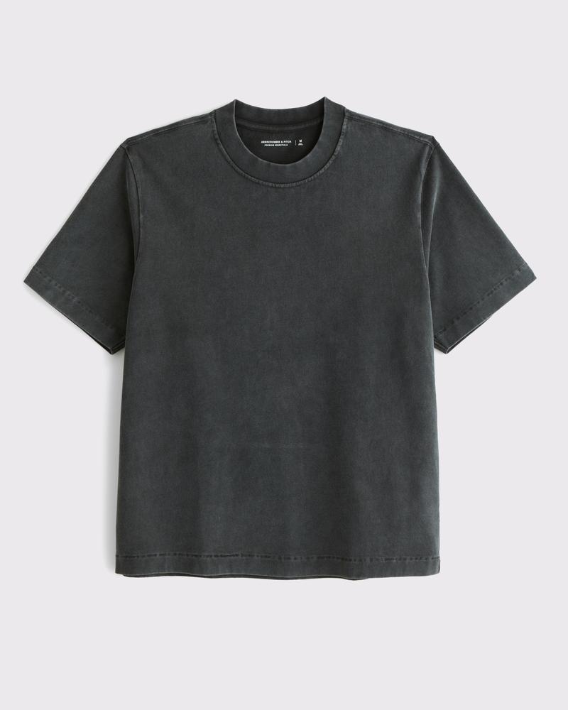 Premium Heavyweight 2.0 Tee Product Image