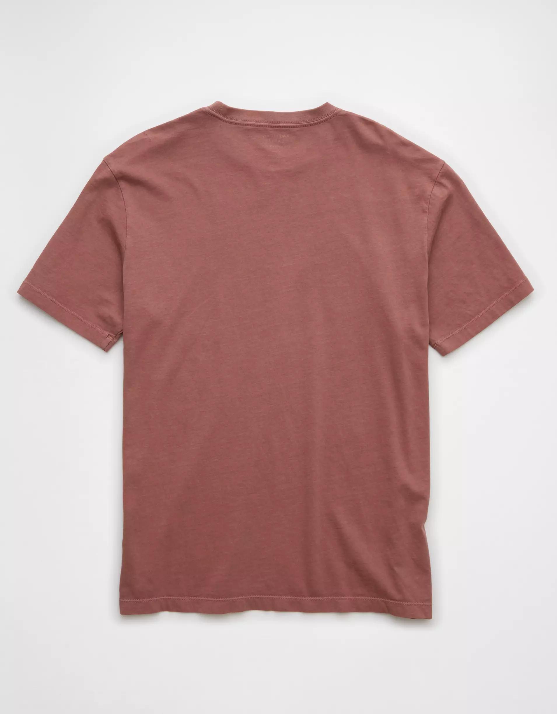 AE Logo Lived-In T-Shirt Product Image