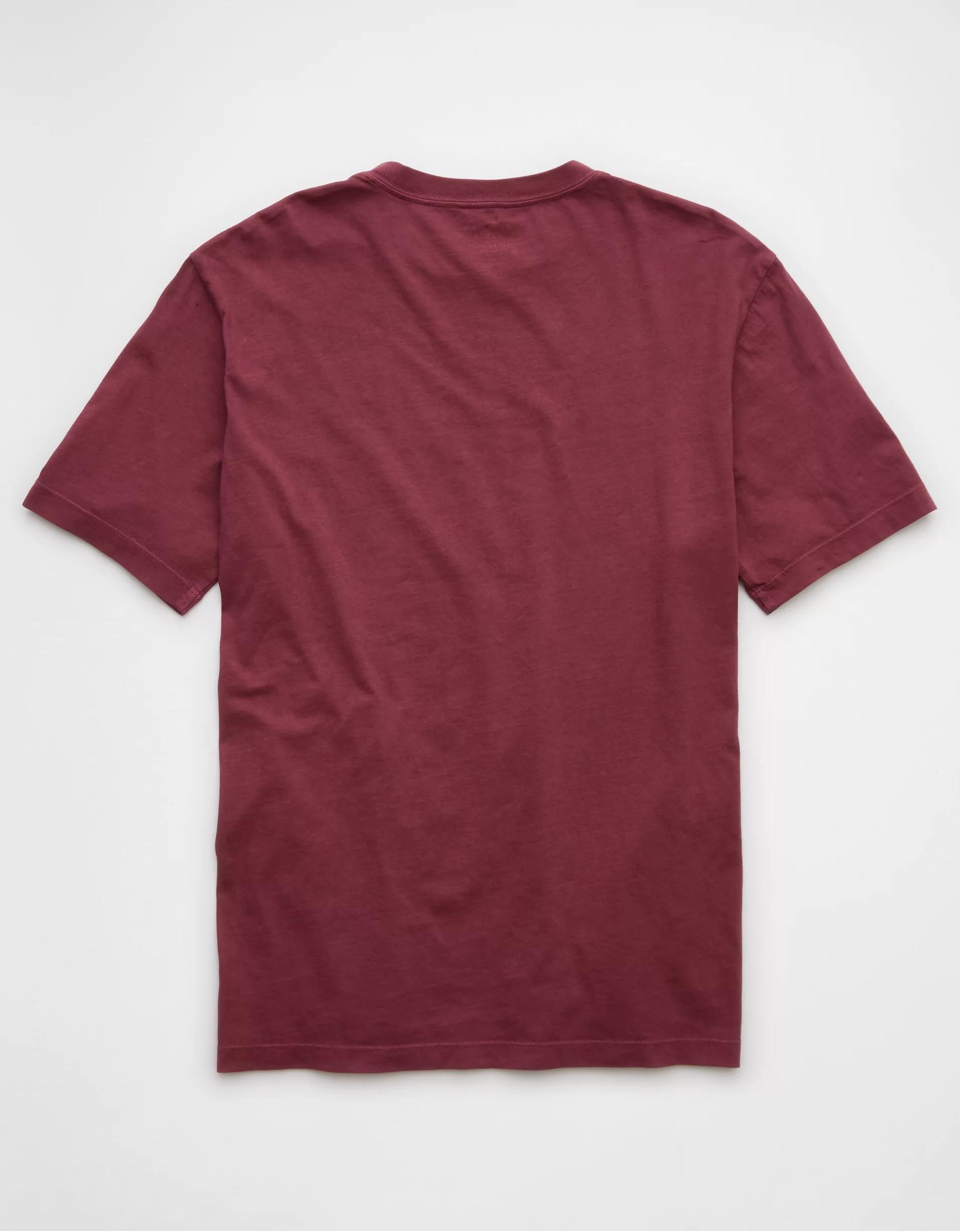 AE Logo Lived-In T-Shirt Product Image