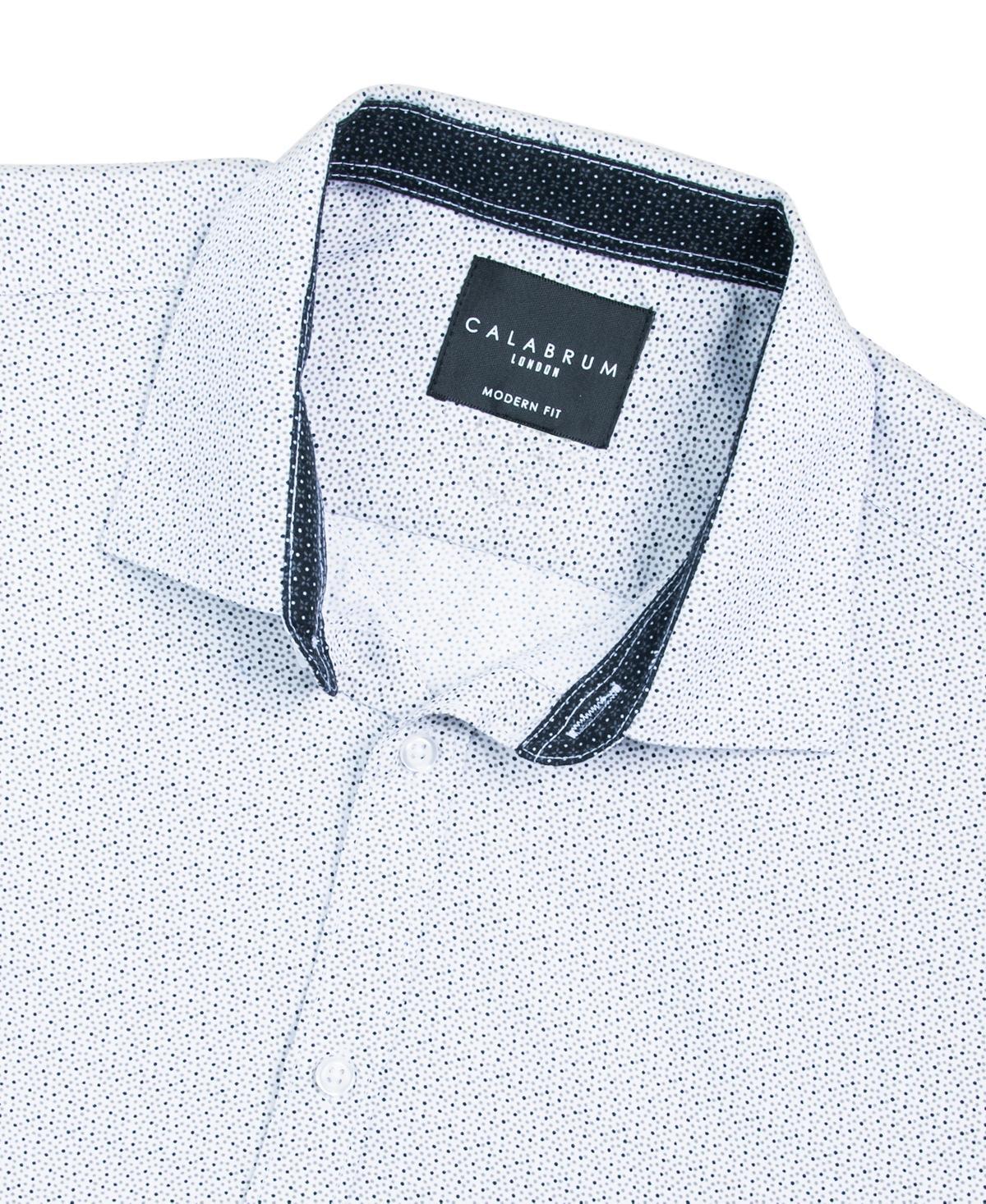 Mens Regular Fit Dot Print Wrinkle Free Performance Dress Shirt Product Image