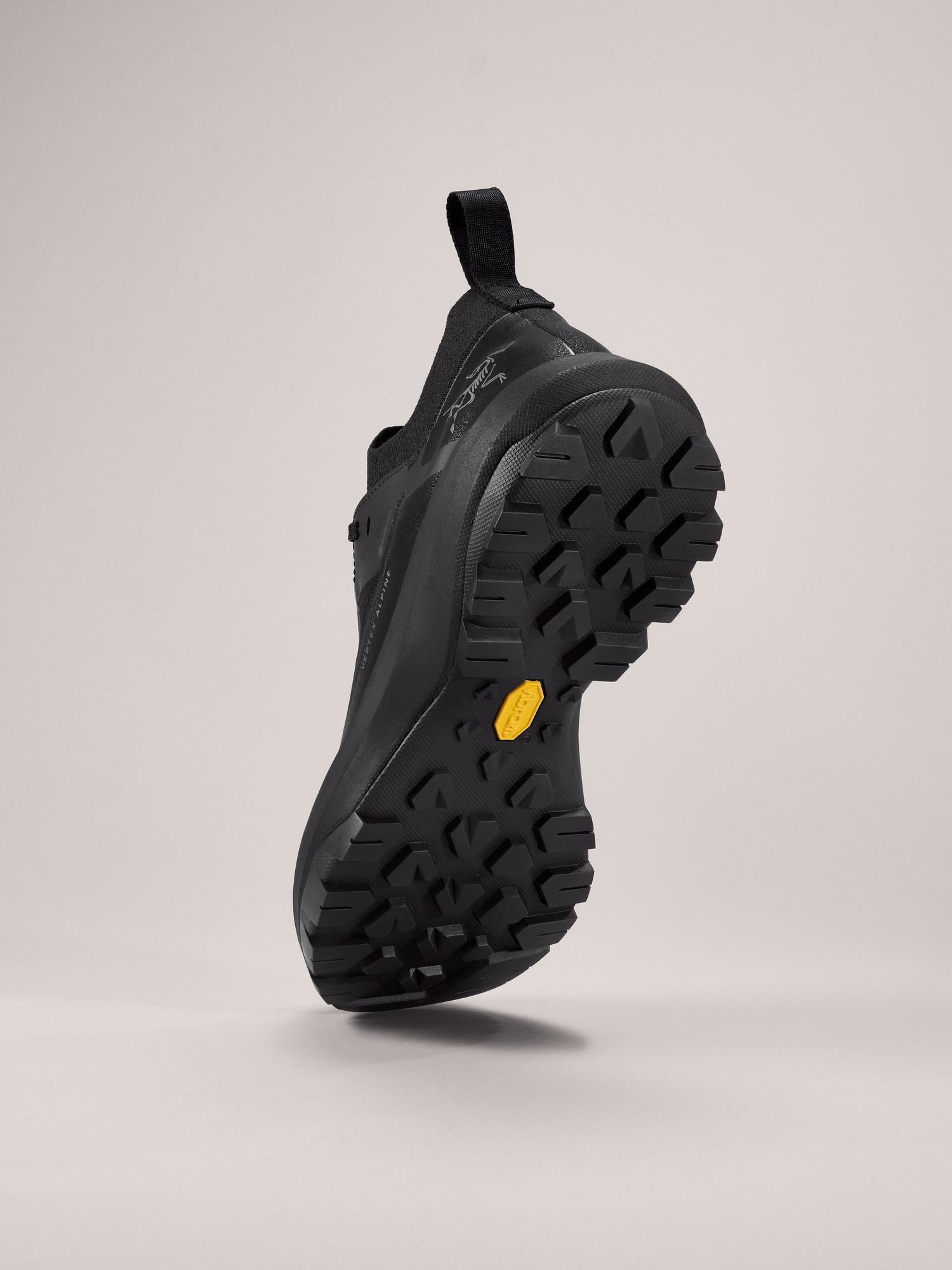 Vertex Alpine GTX Shoe Men's Product Image