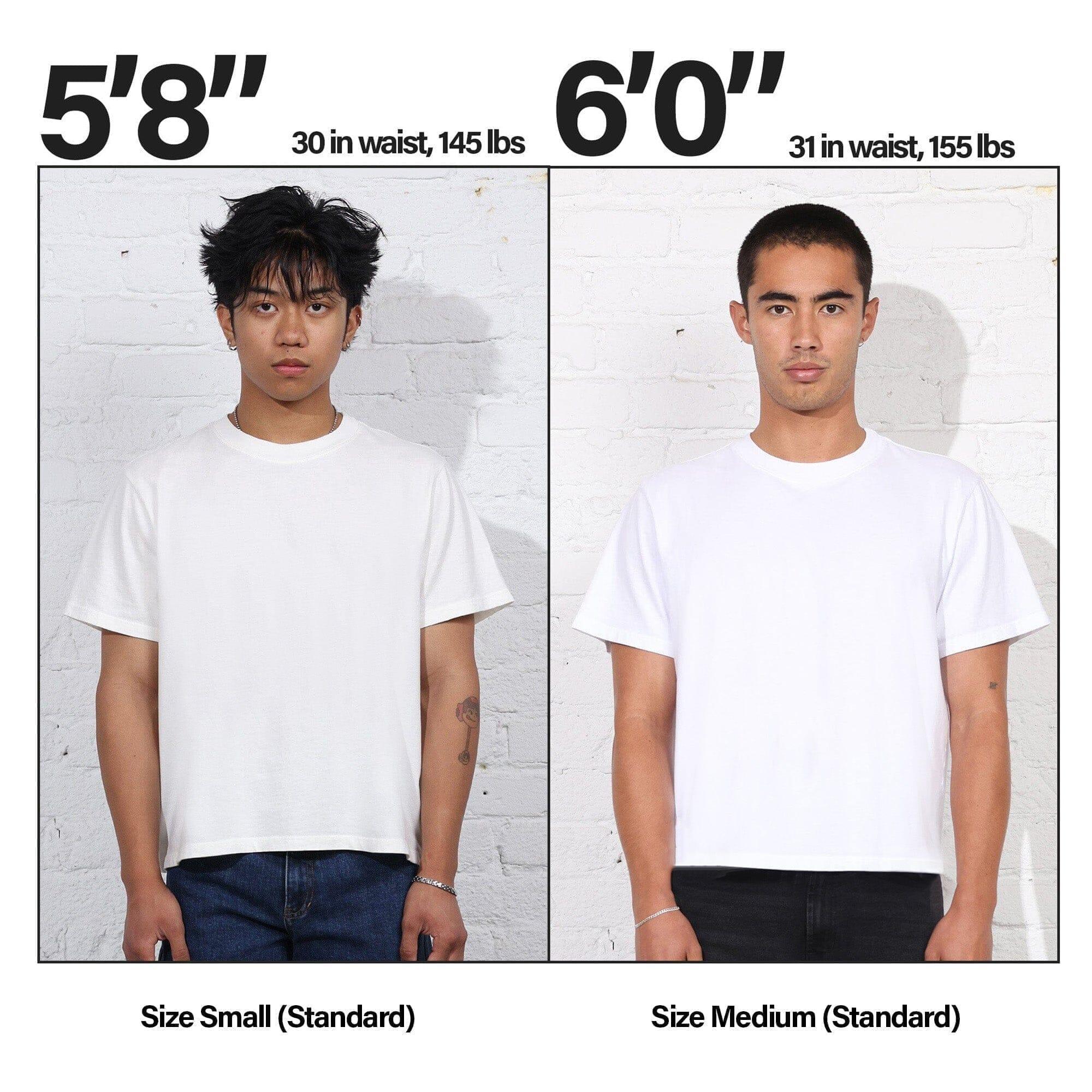 Silverlake Crop Tee II Product Image