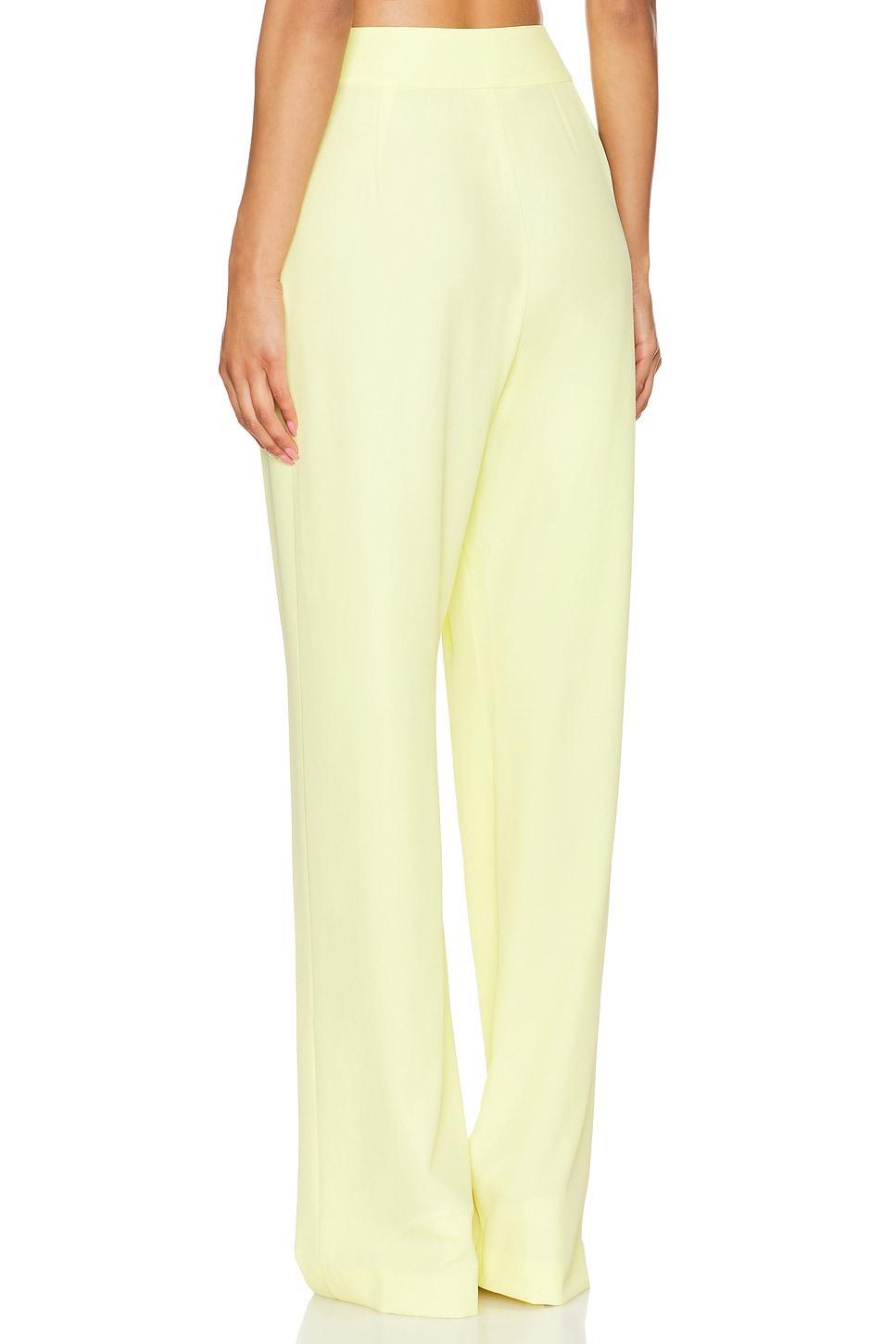 Double Pleat Trouser The Sei Product Image