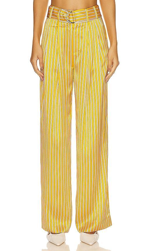Armand Trouser Equipment Product Image