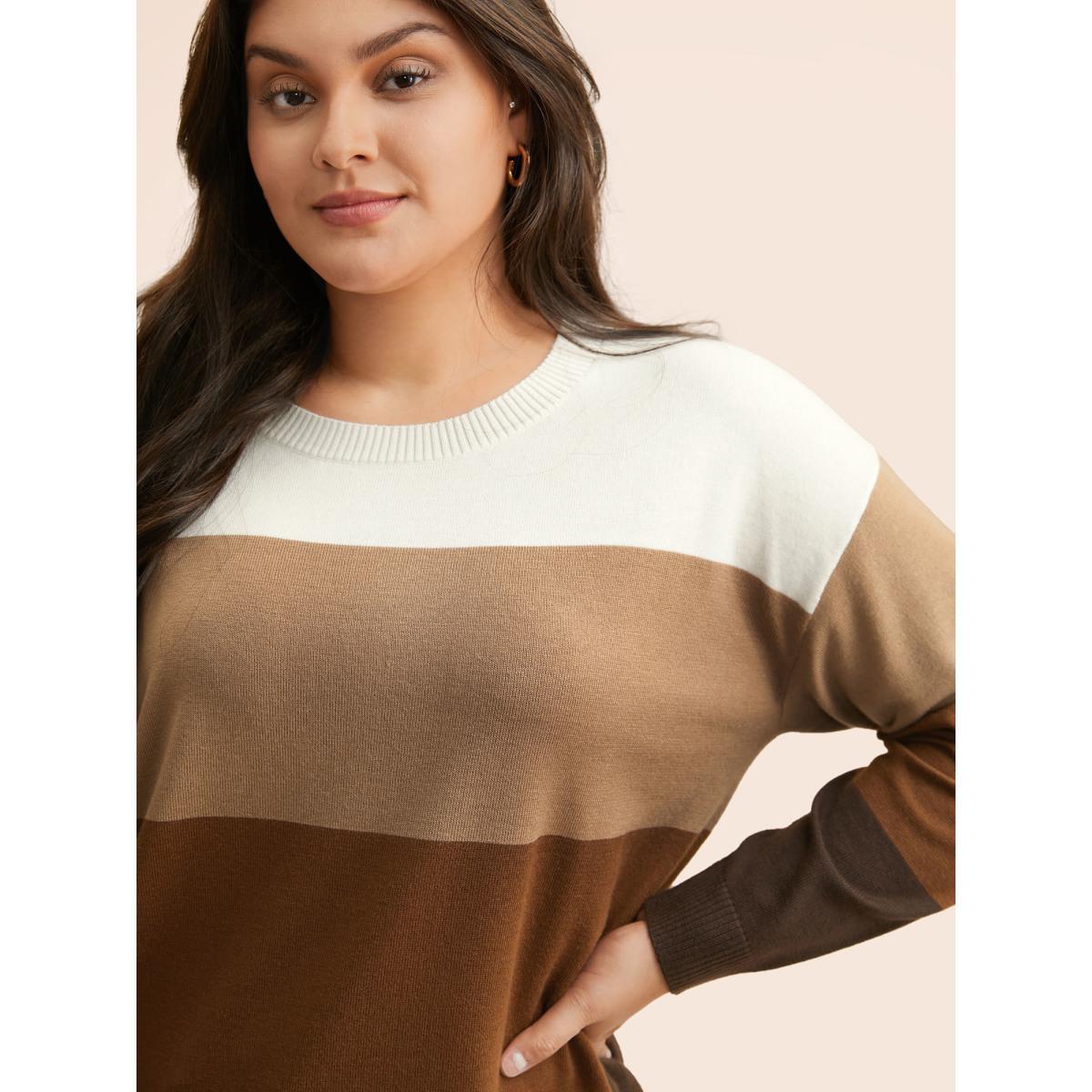 Plus Size Supersoft Essentials Colorblock Contrast Drop Shoulder Pullover Browncoffeecolor Women Casual Loose Long Sleeve Round Neck Everyday Pullovers BloomChic 22-24/3X Product Image
