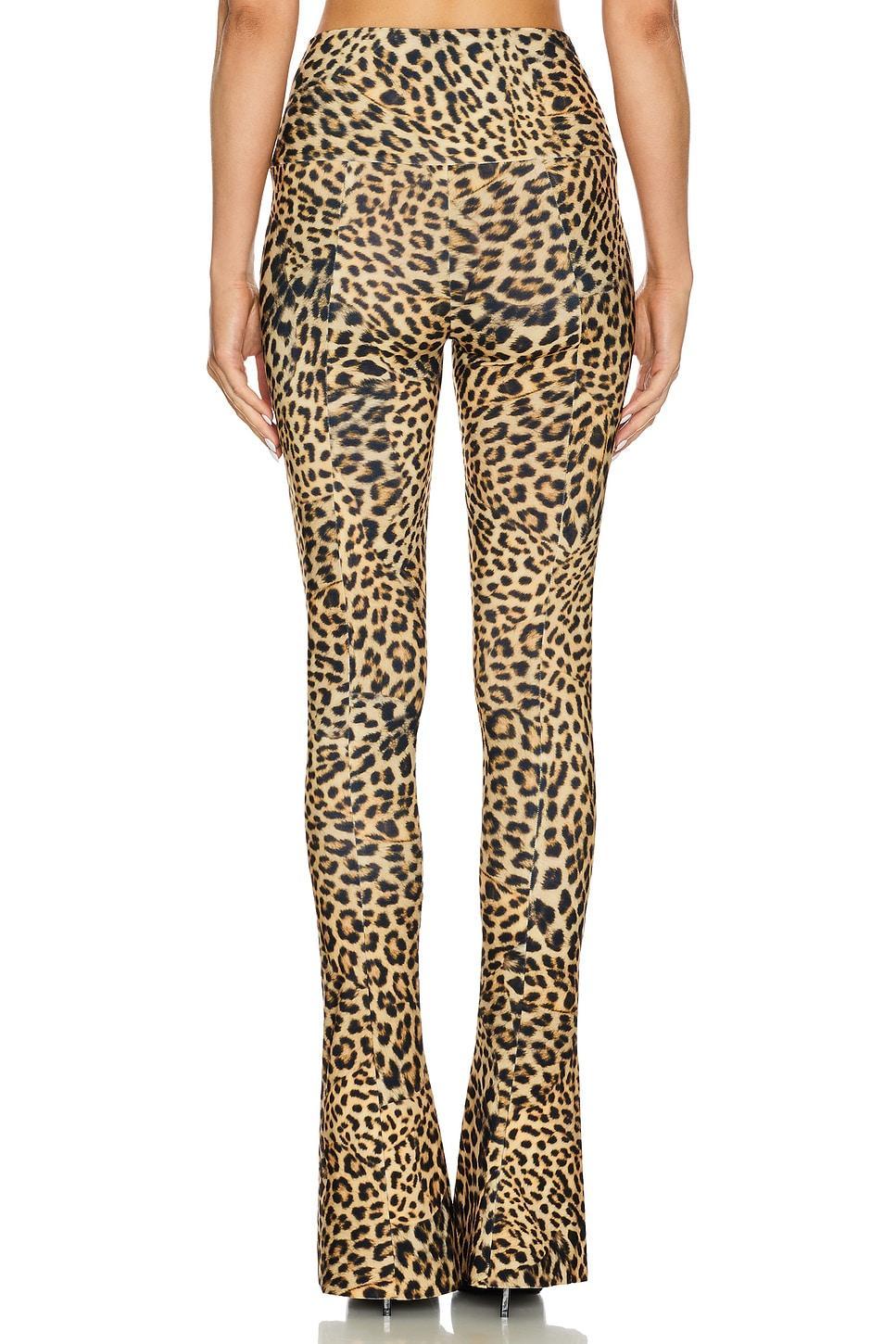 Spat Legging Norma Kamali Product Image
