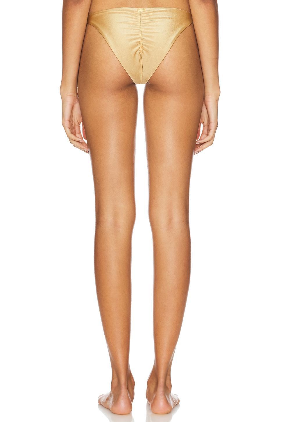 Naos Bottom BOAMAR Product Image