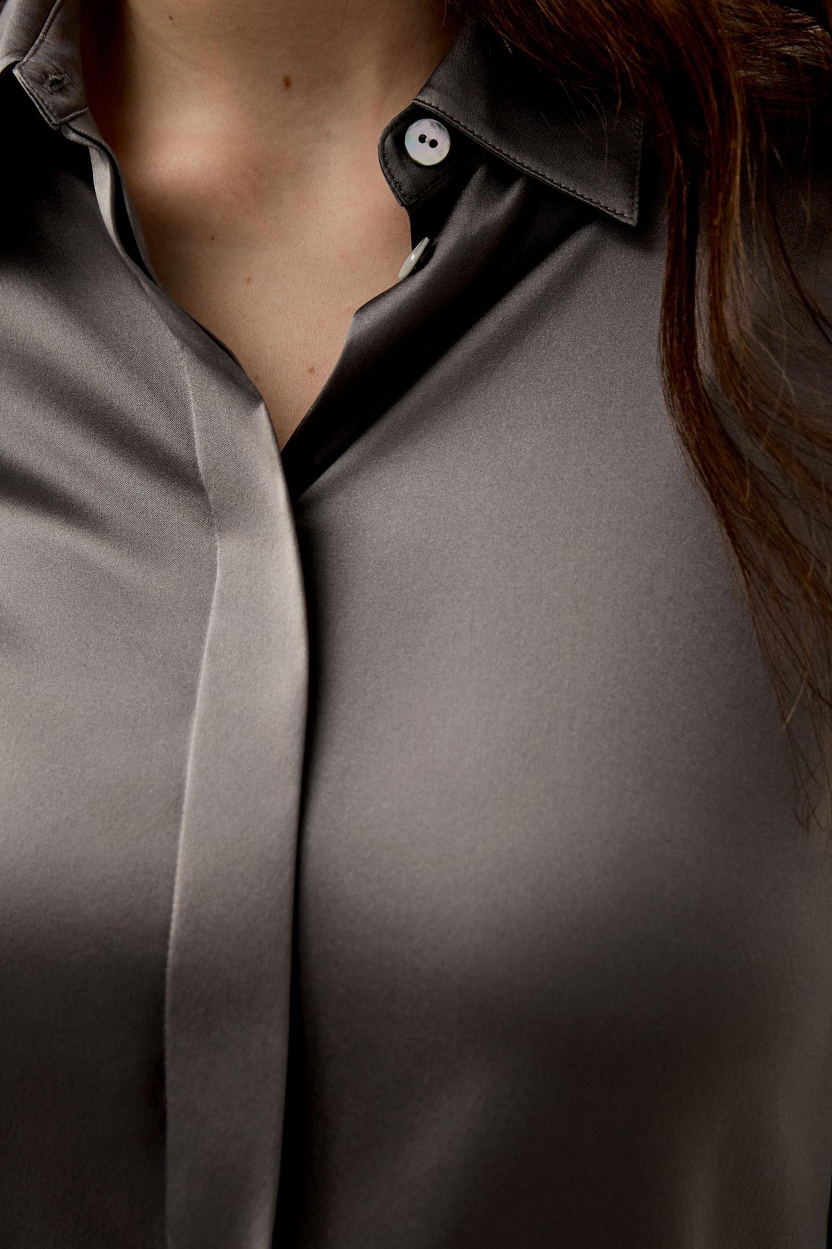 Elegant Silhouette Silk Shirt Product Image