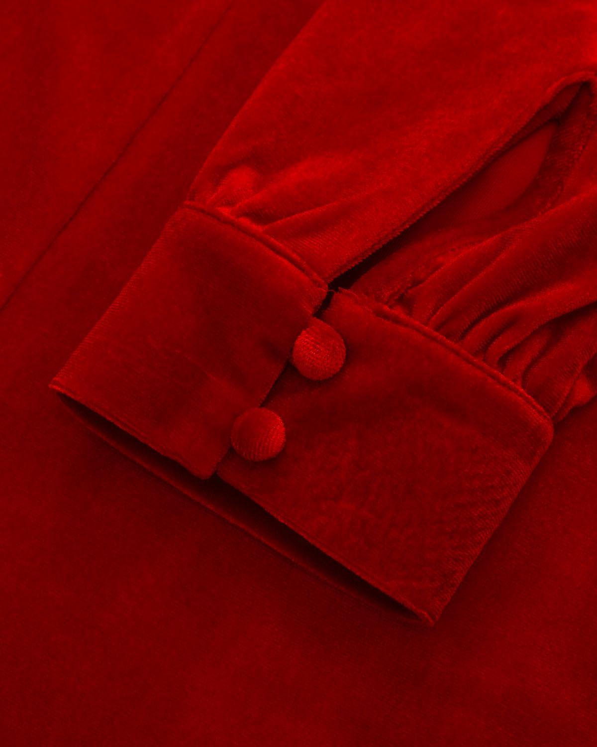 Red Velvet Puffed Sleeve A-Line Mini Dress Product Image