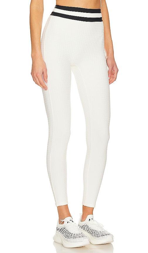 Duke Legging DEVON WINDSOR Product Image