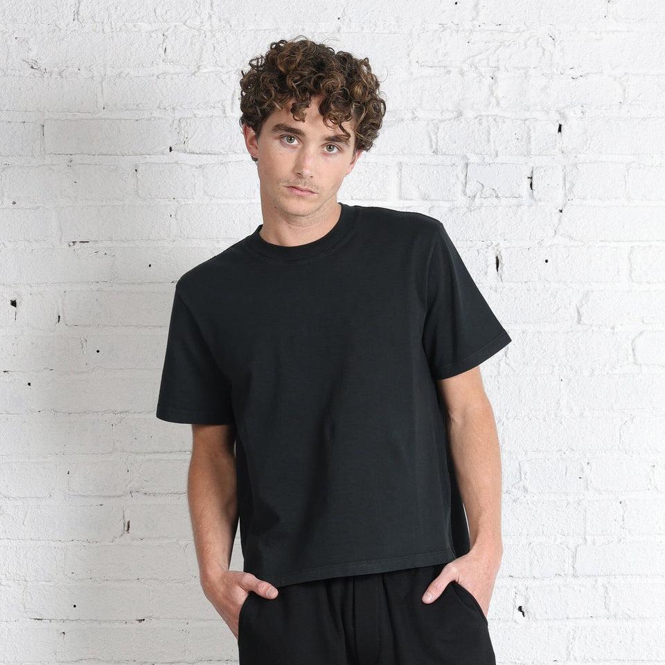 Silverlake Crop Tee II Product Image