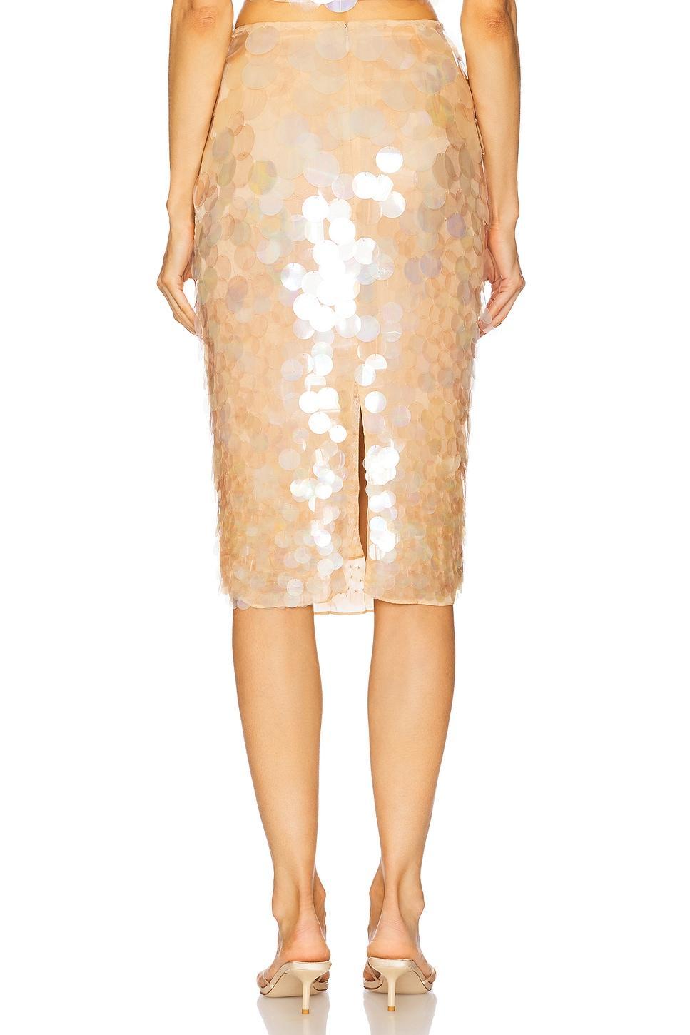 Riley Sequin Skirt retrofete Product Image