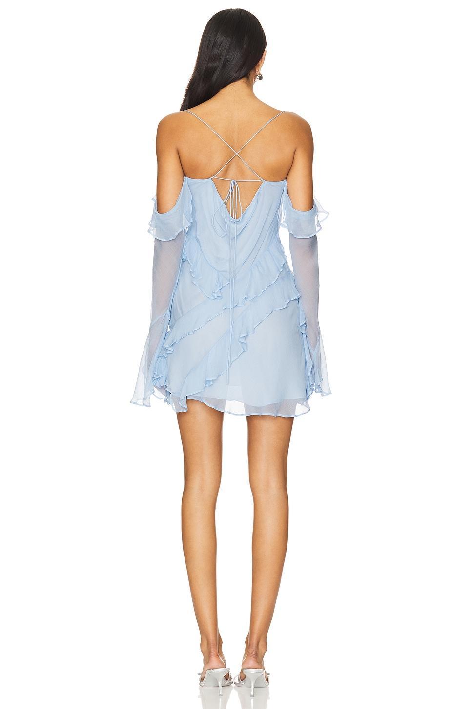 Layla Long Sleeve Ruffle Mini Dress Product Image
