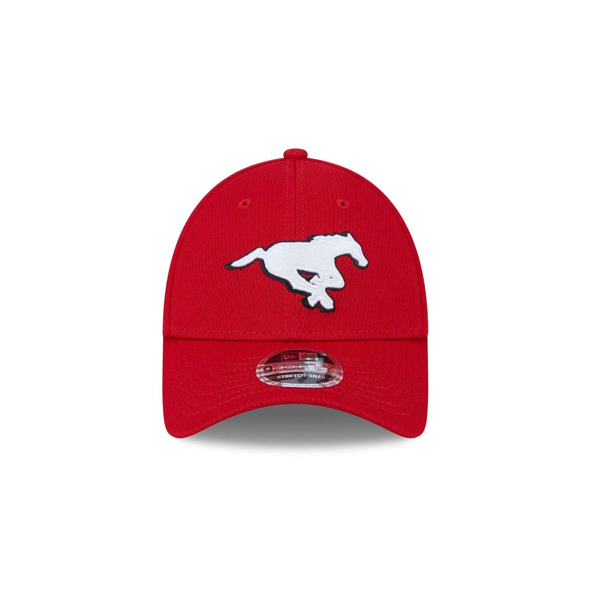 Angry Beavers 39THIRTY Stretch Fit Hat Male Product Image