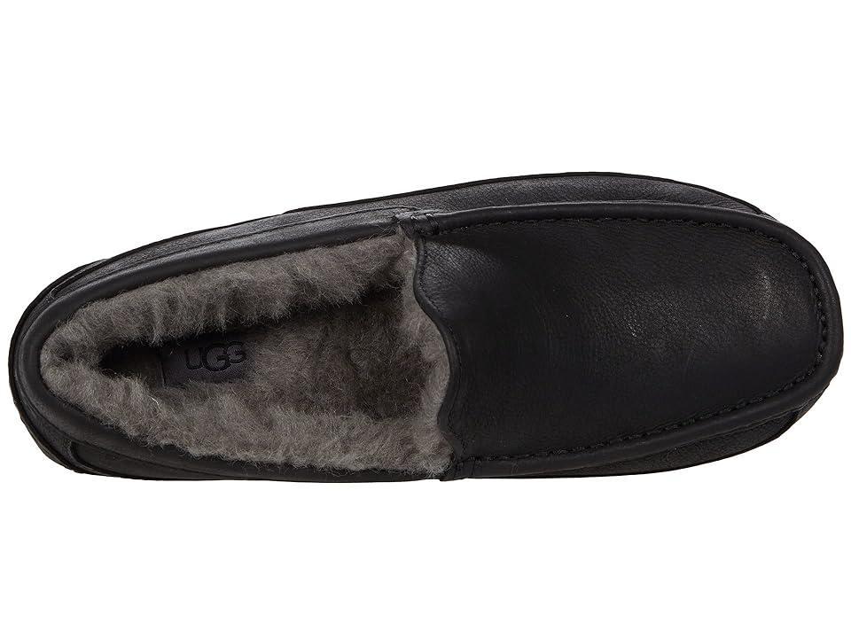 UGG Mens Ascot Leather Slip Product Image
