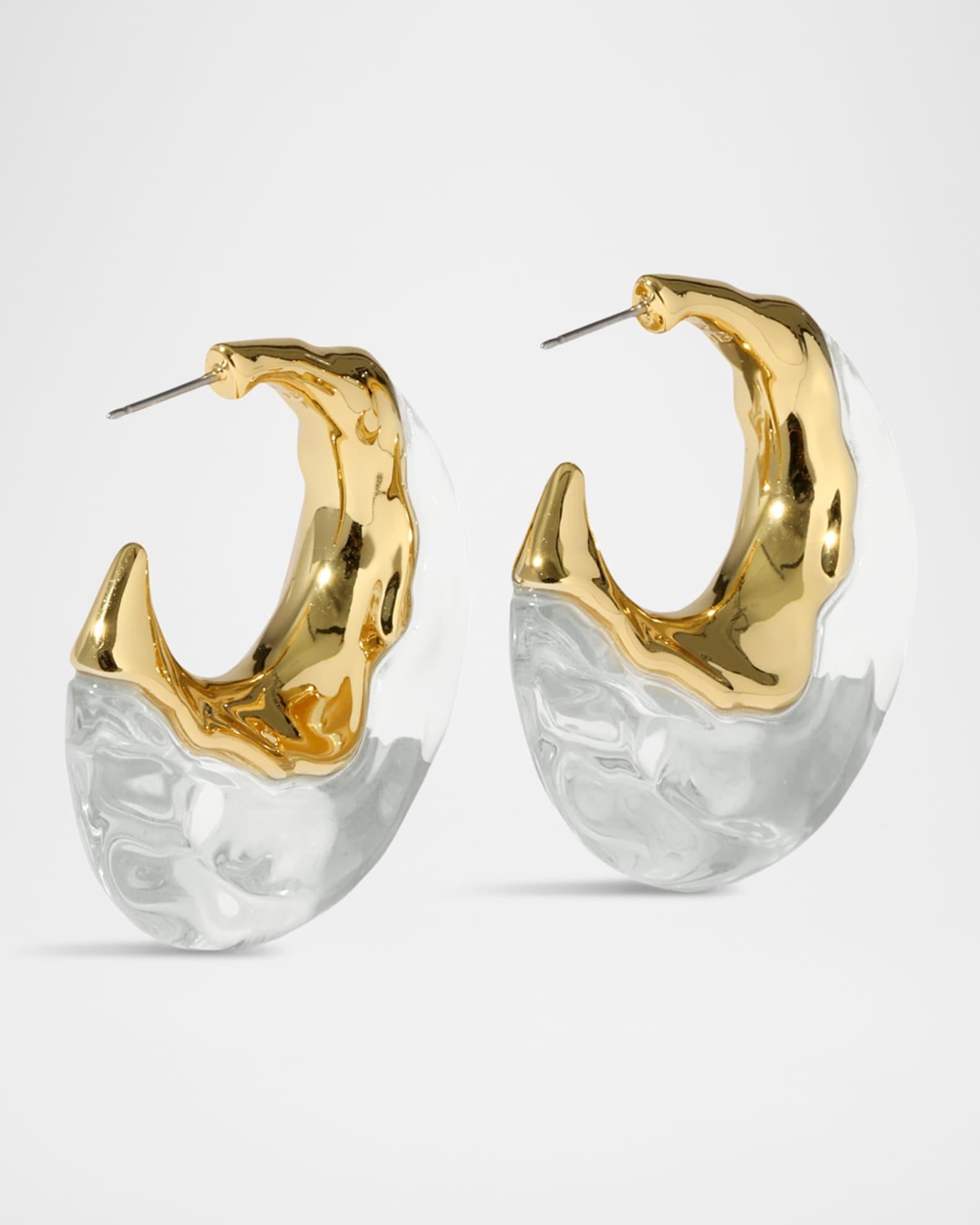 Liquid Lucite Puffy Hoop Earrings Product Image
