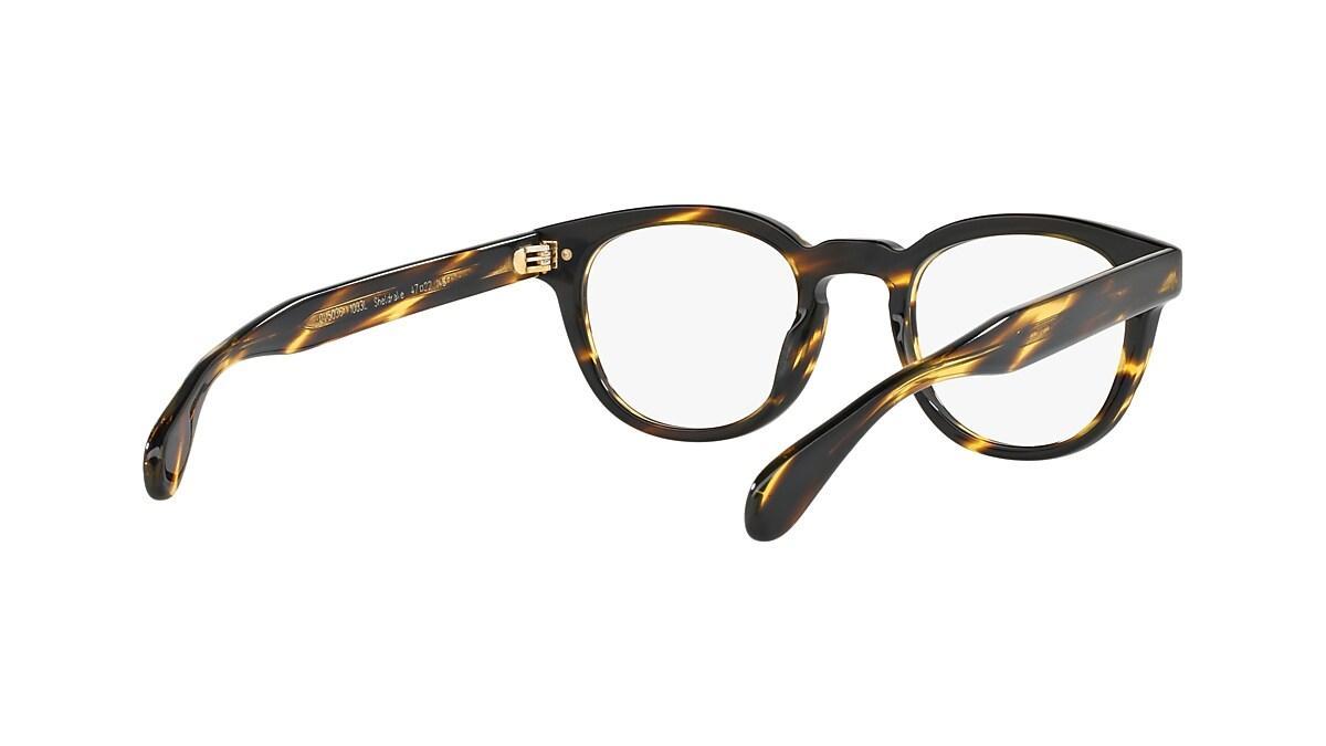 Sheldrake 0OV5036__1003L Product Image