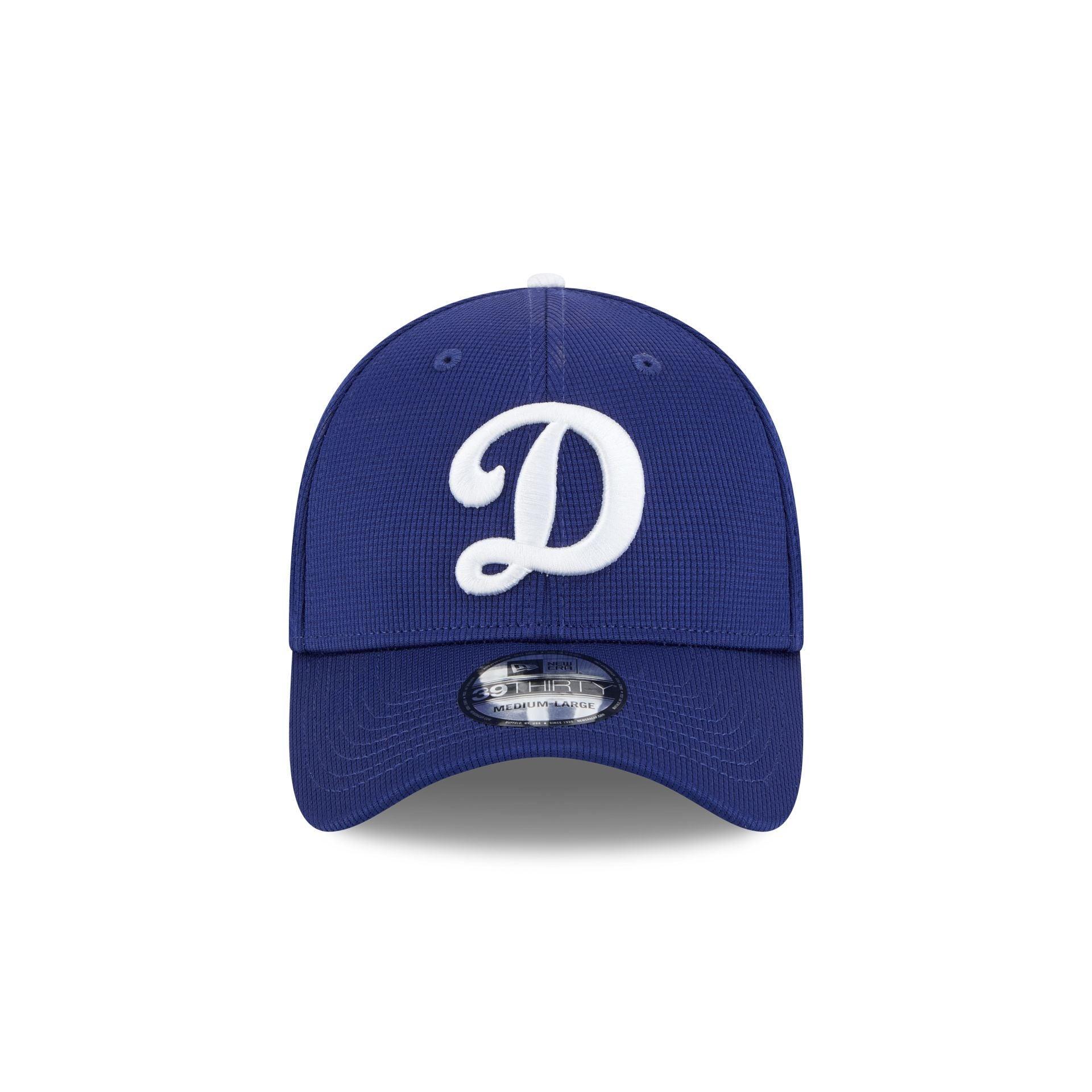 Los Angeles Dodgers 2025 Spring Training 39THIRTY Stretch Fit Hat Male Product Image