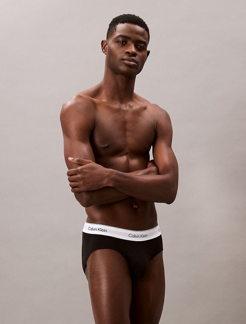 Icon Cotton Stretch 3-Pack Low Rise Slip Brief Product Image