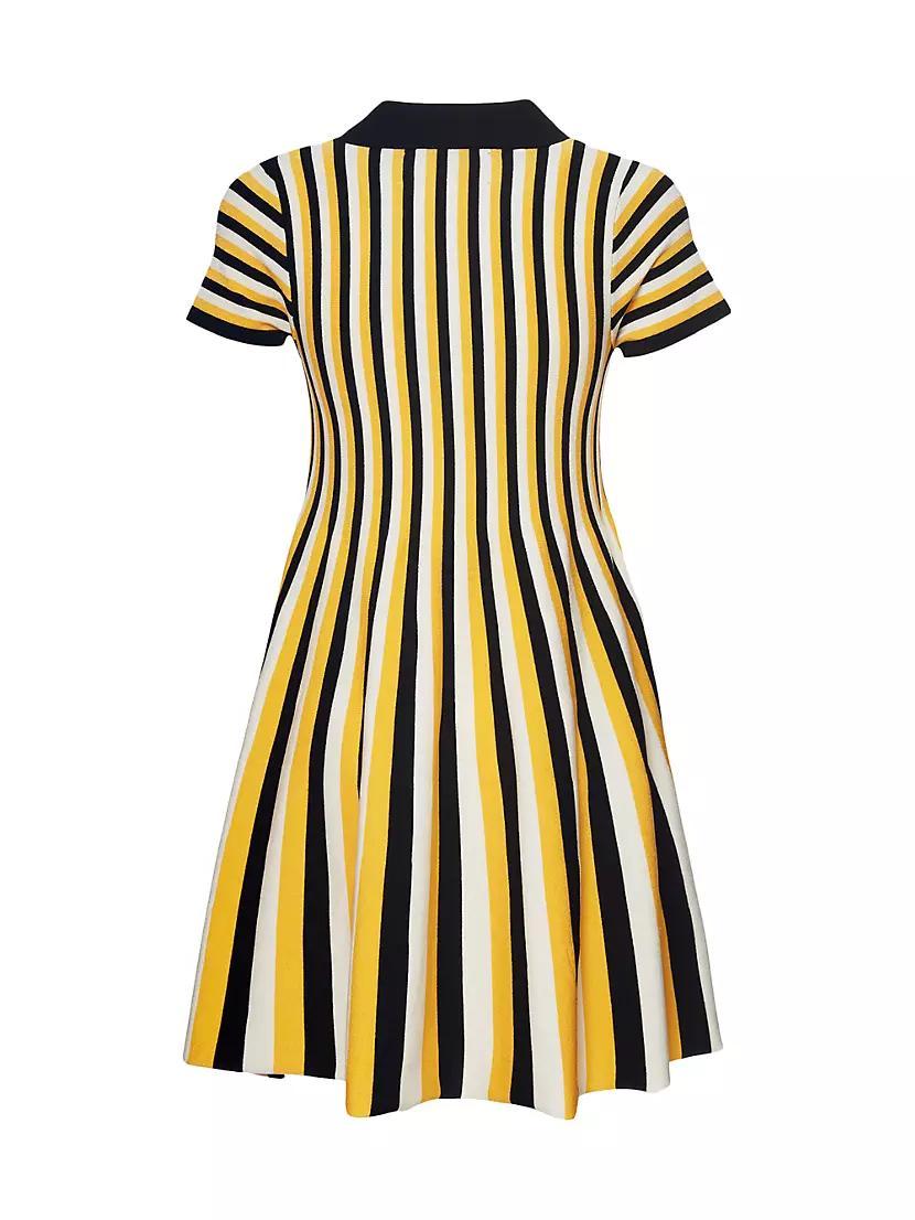 Plaza Mini Dress Product Image