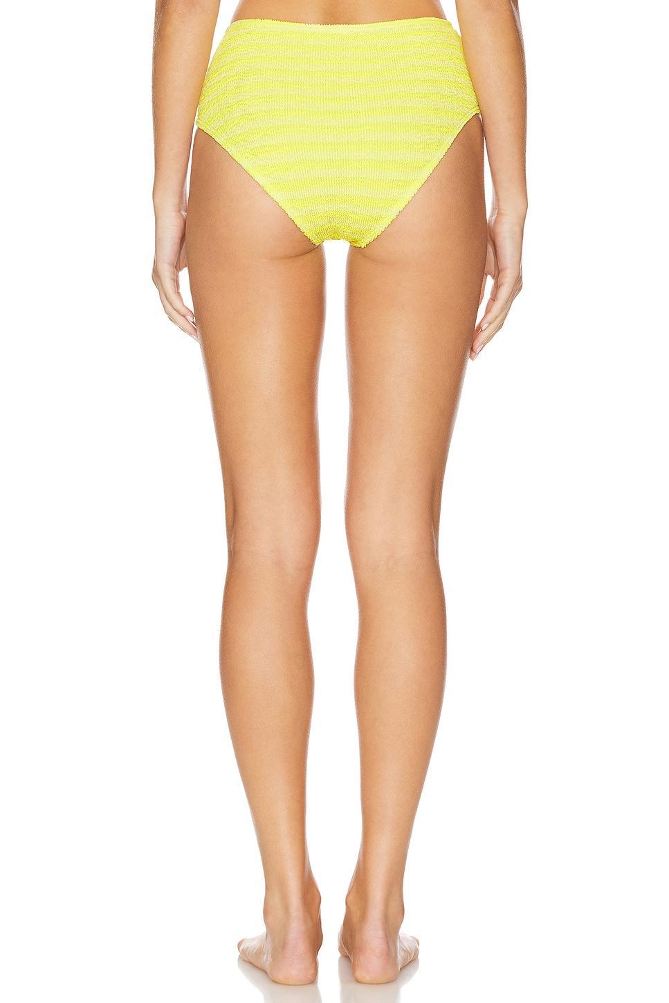 Palmer Brief Bikini Bottom Bond Eye Product Image