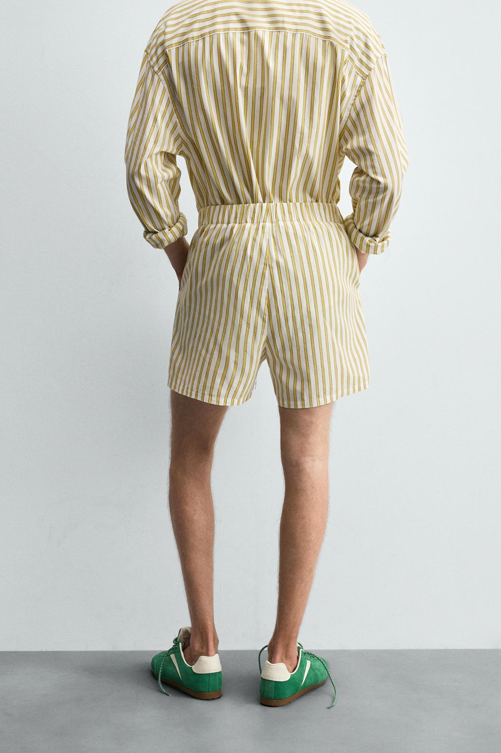 STRIPED EMBROIDERED SHORTS Product Image