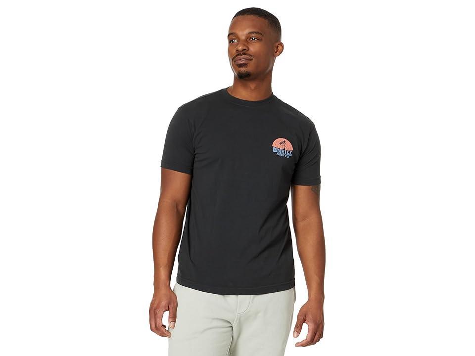 ONeill Mens Shaved Ice Cotton T-shirt Product Image